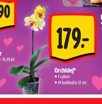 ORCHIDEJ