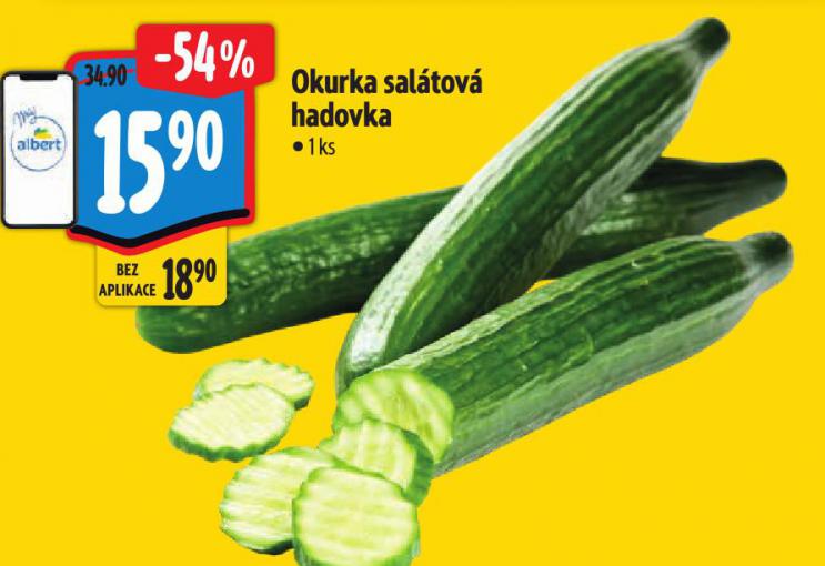 OKURKA SAL�TOV� HADOVKA