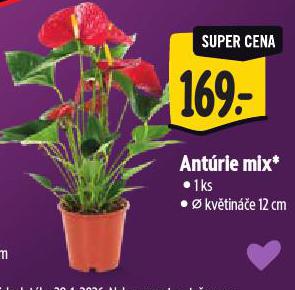 ANTÚRIE MIX