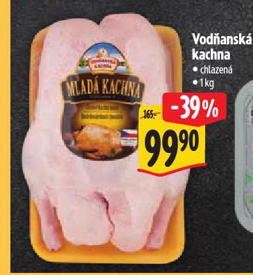 VOD�ANSK� KACHNA