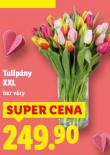 TULIP�NY