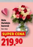 RَE HARLEK�N