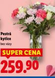 PESTR� KYTICE
