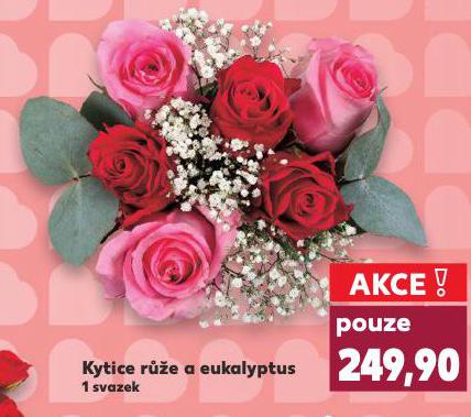 KYTICE RَE A EUKALYPTUS