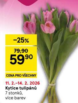 KYTICE TULIP�N�