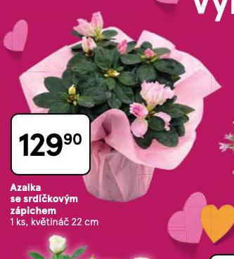 AZALKA SE SRD��KOV�M Z�PICHEM