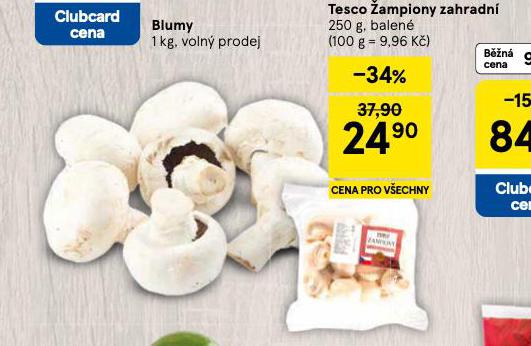 �AMPIONY ZAHRADN�