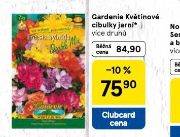 GARDENIE KV�TINOV� CIBULKY JARN�