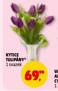KYTICE TULIP�NY
