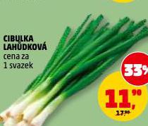 CIBULKA LAH�DKOV�