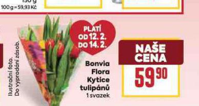 BONVIA FLORA KYTICE TULIP�N�