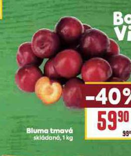 BLUMA TMAV�
