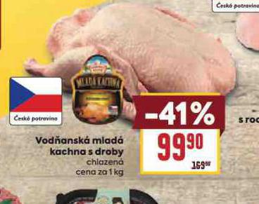 VOD�ANSK� KACHNA S DROBY