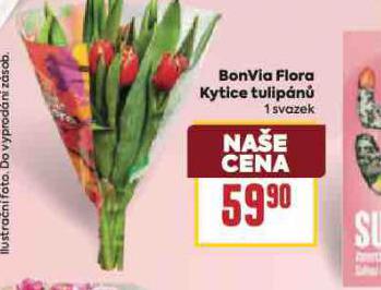 BONVIA FLORA KYTICE TULIP�N�