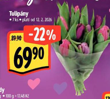 TULIP�NY