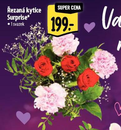 �EZAN� KYTICE SURPRISE