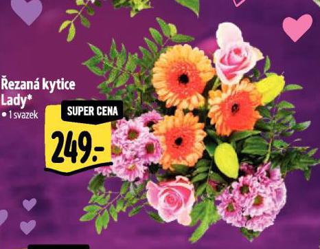 �EZAN� KYTICE LADY