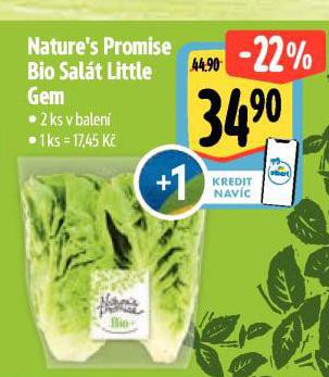 BIO SAL�T LITTLE GEM