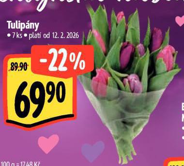 TULIP�NY