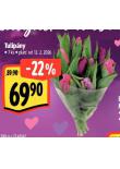 TULIP�NY