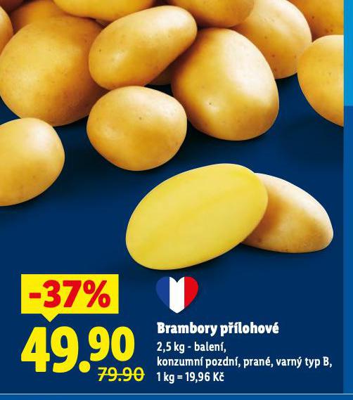 BRAMBORY P��LOHOV�