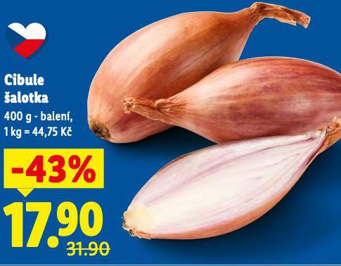 CIBULE �ALOTKA