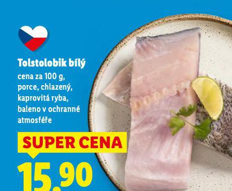 TOLSTOLOBIK B�L�