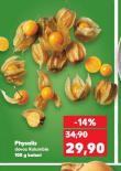 PHYSALIS