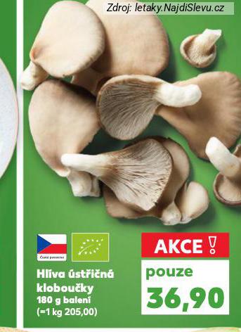 HL�VA �ST�I�N� KLOBOU�KY