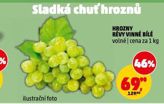 HROZNY R�VY VINN� B�L�