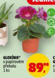 GLOX�NIE