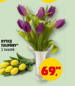 KYTICE TULIP�NY