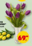 KYTICE TULIP�NY