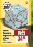 TENTO PAP�ROV� KAPESN��KY