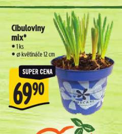 CIBULOVINY MIX