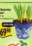 CIBULOVINY MIX