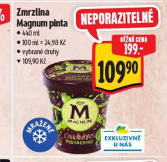 ZMRZLINA MAGNUM PINTA