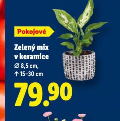 ZELEN� MIX V KERAMICE