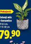 ZELENÝ MIX V KERAMICE