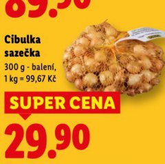CIBULKA SAZEČKA