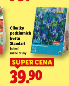 CIBULKY PODZIMN�CH KV�T�