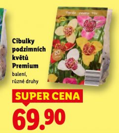 CIBULKY PODZIMN�CH KV�T�