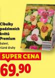 CIBULKY PODZIMN�CH KV�T�