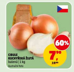 CIBULE KUCHY�SK� �LUT�