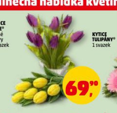 KYTICE TULIP�NY