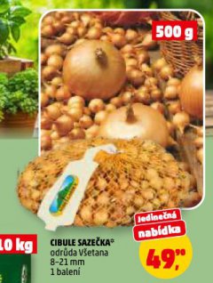 CIBULE SAZE�KA