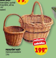 PROUTĚNÝ KOŠ