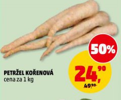 PETR�EL KO�ENOV�