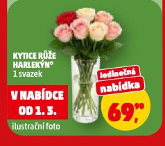 KYTICE RَE HARLEK�N