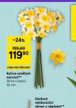 KYTICE UMĚLÝCH NARCISŮ